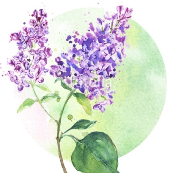 Meet your Posher, Atessa - Picture 3 of 5